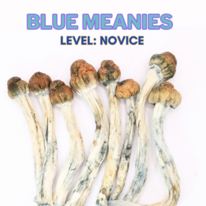Blue Meanies Magic Mushroom Strain